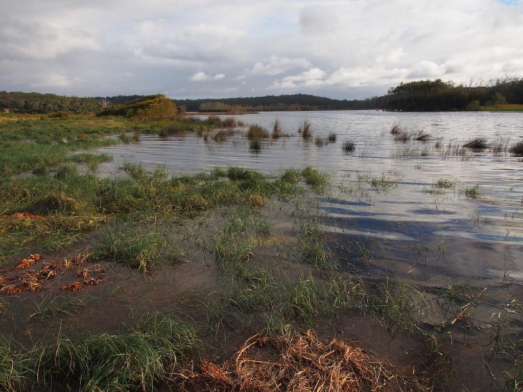 Bundle Hill Cottages Bawley Point Bagian luar foto
